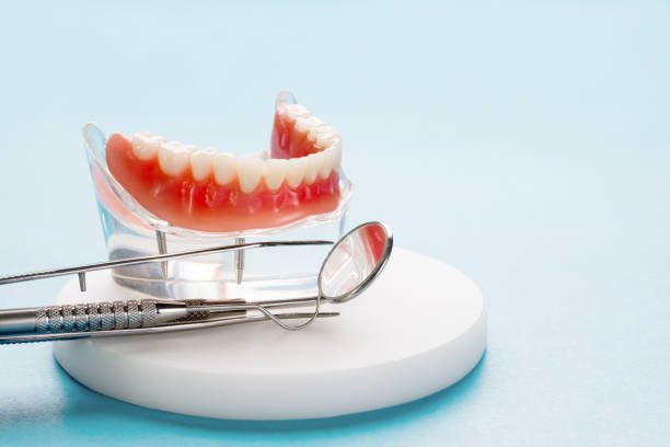 Trusted Hallsville, MO Holistic Dental Care Services Experts